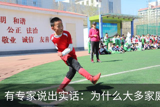 有专家说出实话：为什么大多家庭后悔买新能源汽车？原因很现实