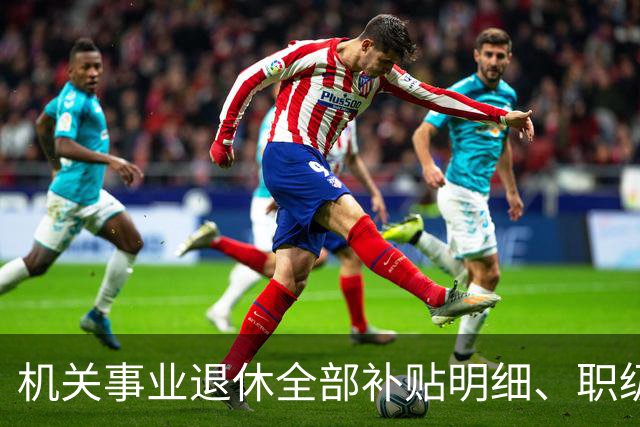 机关事业退休全部补贴明细、职级、年龄、标准一次性讲清楚