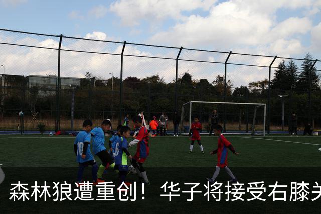 森林狼遭重创！华子将接受右膝关节镜手术 或休两个月再次无缘评奖