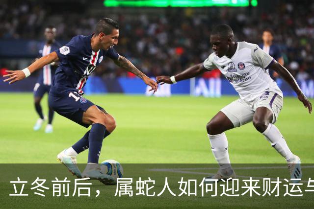 立冬前后，属蛇人如何迎来财运与人脉的双重惊喜？