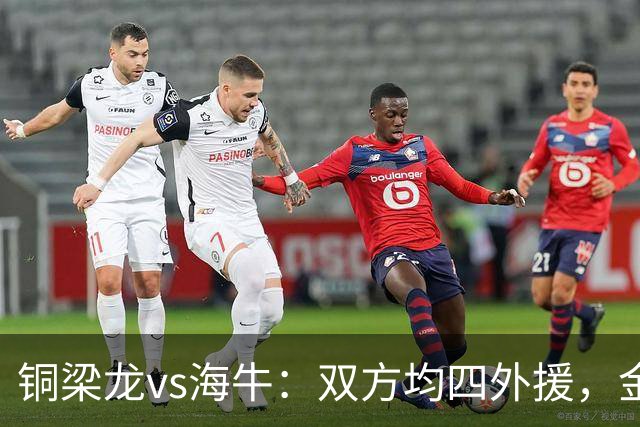 铜梁龙vs海牛：双方均四外援，金永浩、韦所为先发